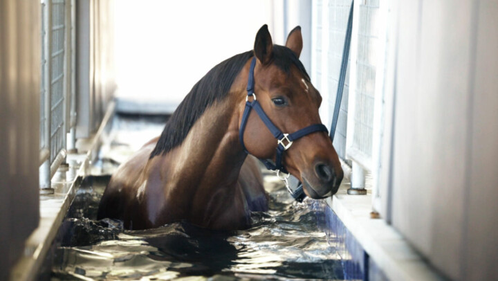 In-Ground Water Treadmill
