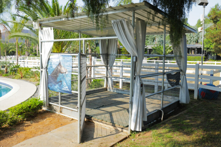 Full Body Vibrating Stall