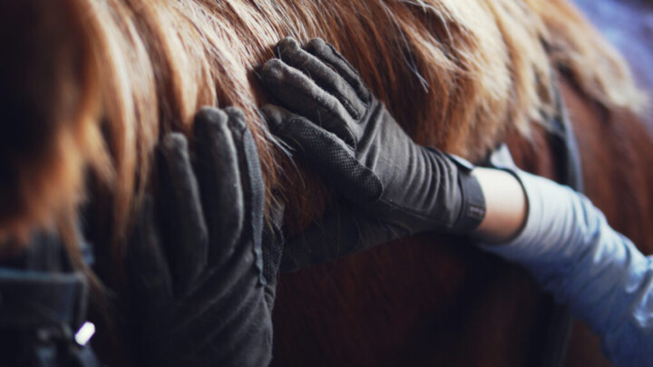 Massage Therapy