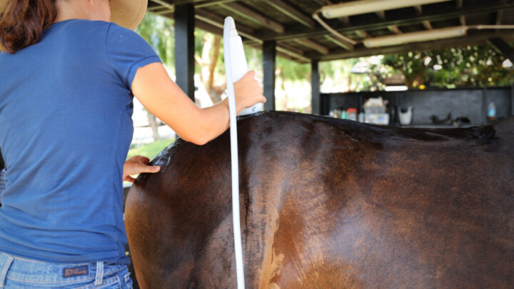 Shockwave Therapy