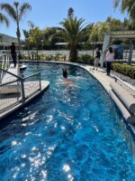 Round Swimming Pool
