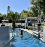 Round Swimming Pool