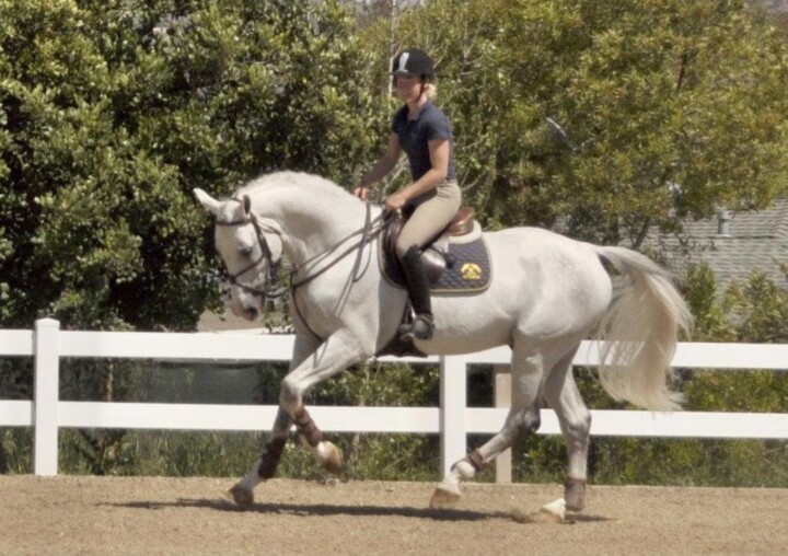 Undersaddle Rehabilitation and Conditioning